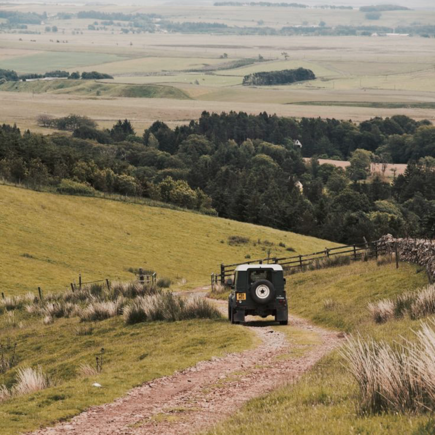 Ein klassischer Land Rover steht inmitten einer natürlichen Landschaft. Die Szene ist geprägt von ruhigen Erdtönen und vermittelt eine Verbindung zur ländlichen Schweizer Ästhetik – inspiriert von der D'CONSTRUCTED Countryside-Kollektion.