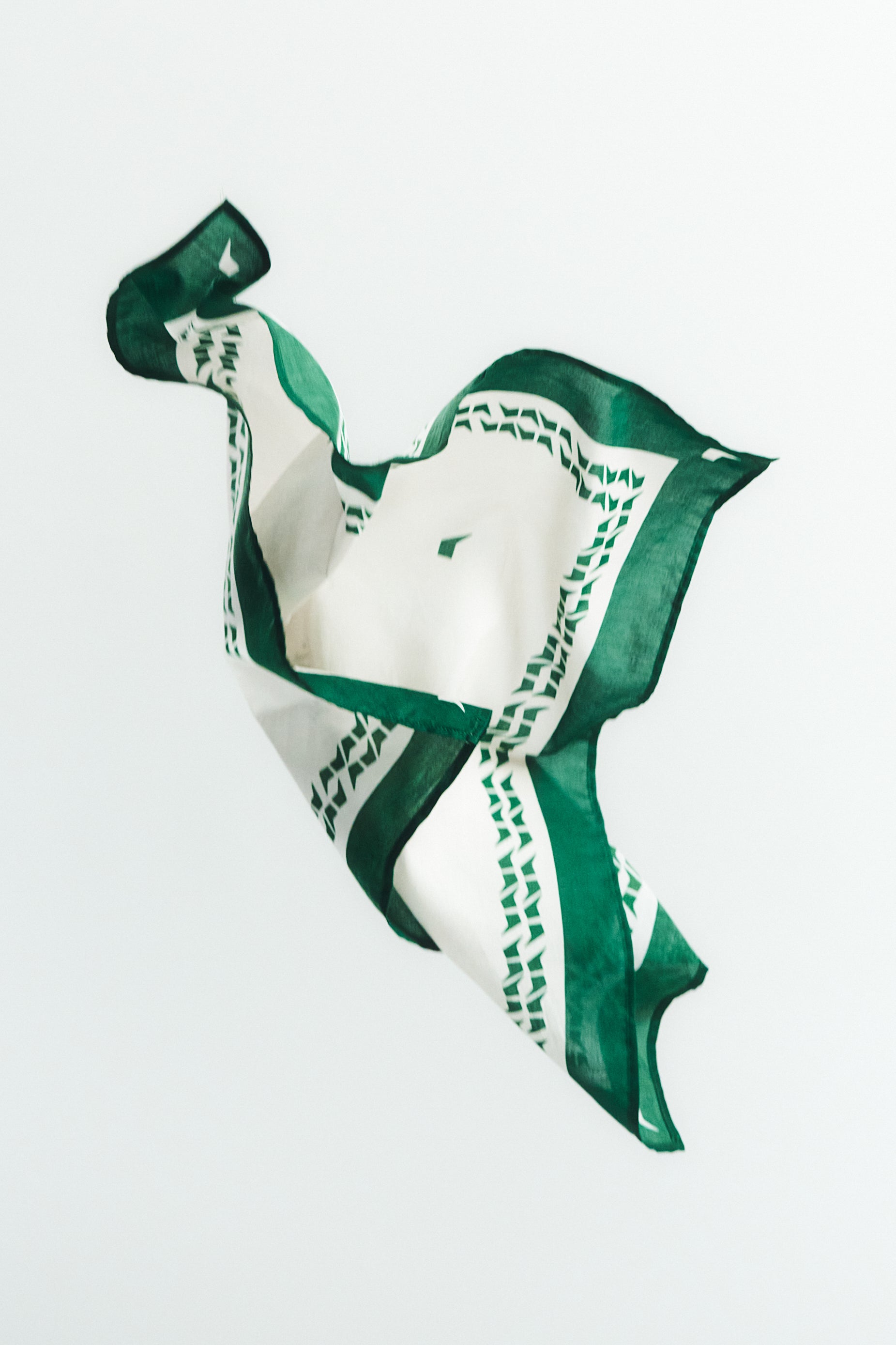 Logo Bandana